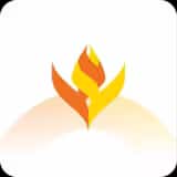 Icon Api